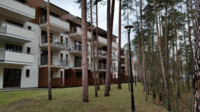 Отель Apartament nr 39 Baltic Park  Гмина Новы-Двур-Гданьски